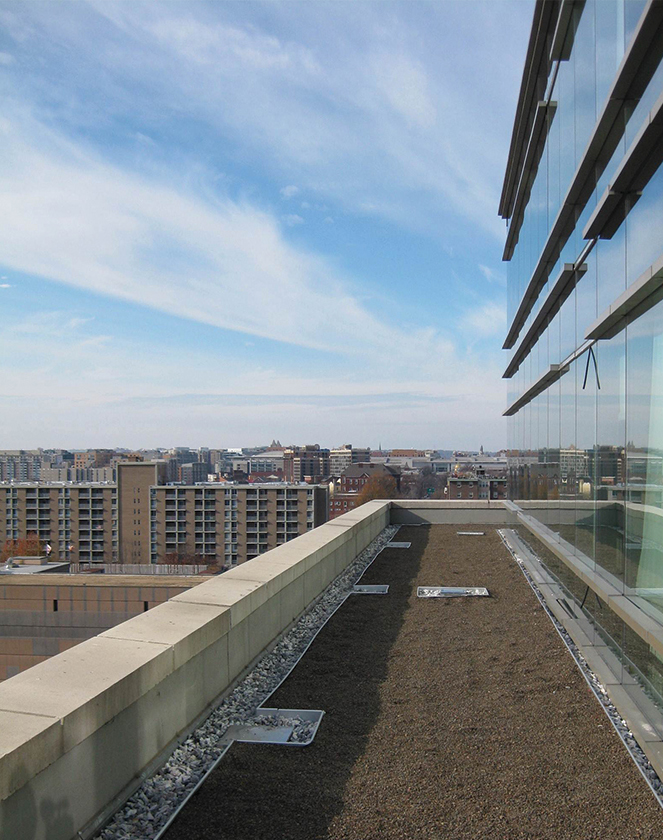 Capitol Plaza Green Roof 1