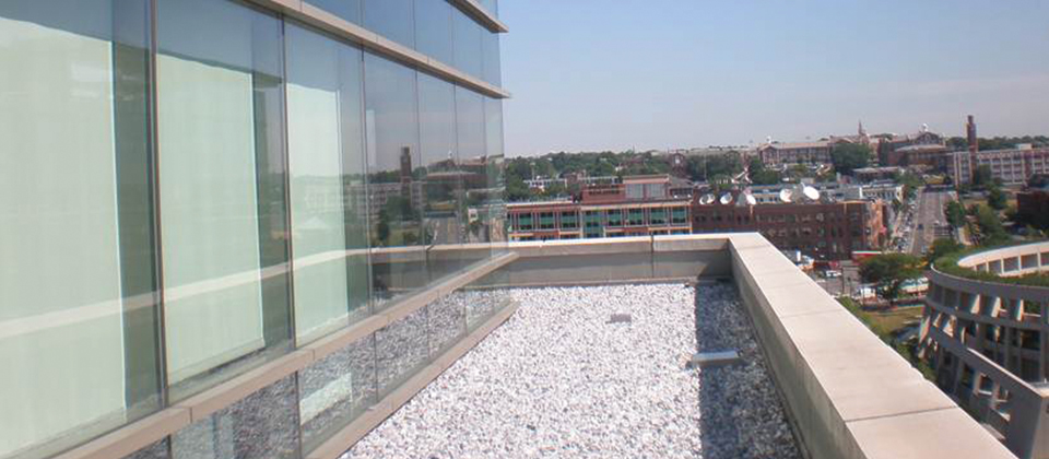 Capitol Plaza Green Roof 3