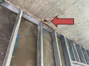 Interior View of Corroded Light-Gauge Framing & Concrete Slab Edge Spalling due to Persistent Water Leaks